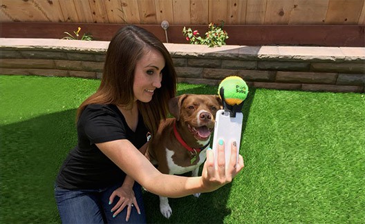 Pooch Selfie: o acessório para tirar selfies com seu cachorro! 4