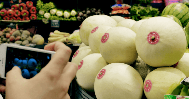 Mercado canadense convida clientes a checar seus melões! 1