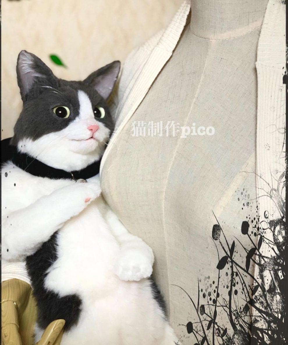 Gato-mochila abraçando um manequim